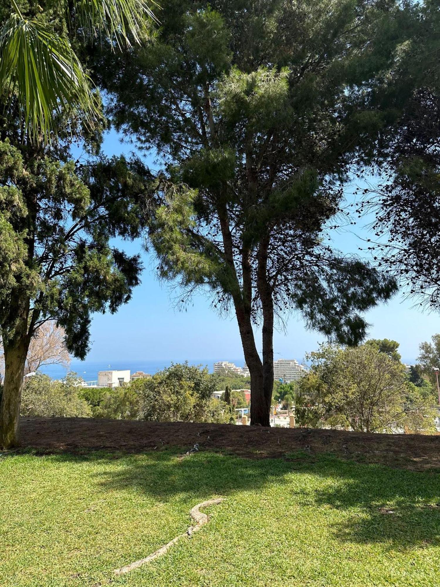 Benalmadena Gamonal Apartment Малага Екстериор снимка